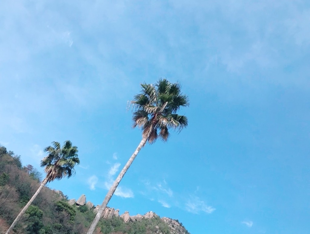 f:id:fujikumachan:20190225210548j:plain f:id:fujikumachan:20190225210548j:plain