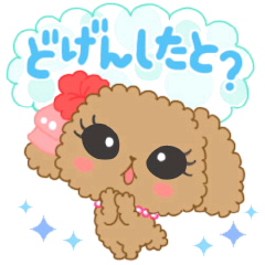 個別 いぬ どげんしたと の写真 画像 Fujikup S Fotolife