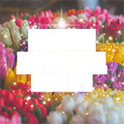 f:id:fujikup:20210426213517j:plain
