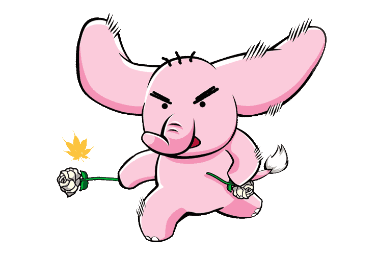 f:id:fujikup:20210810124957g:plain