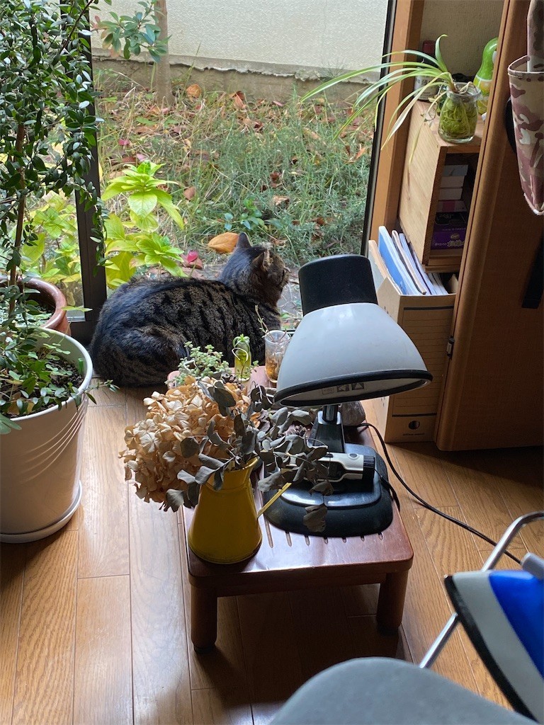 f:id:fujimako0629:20221231180232j:image
