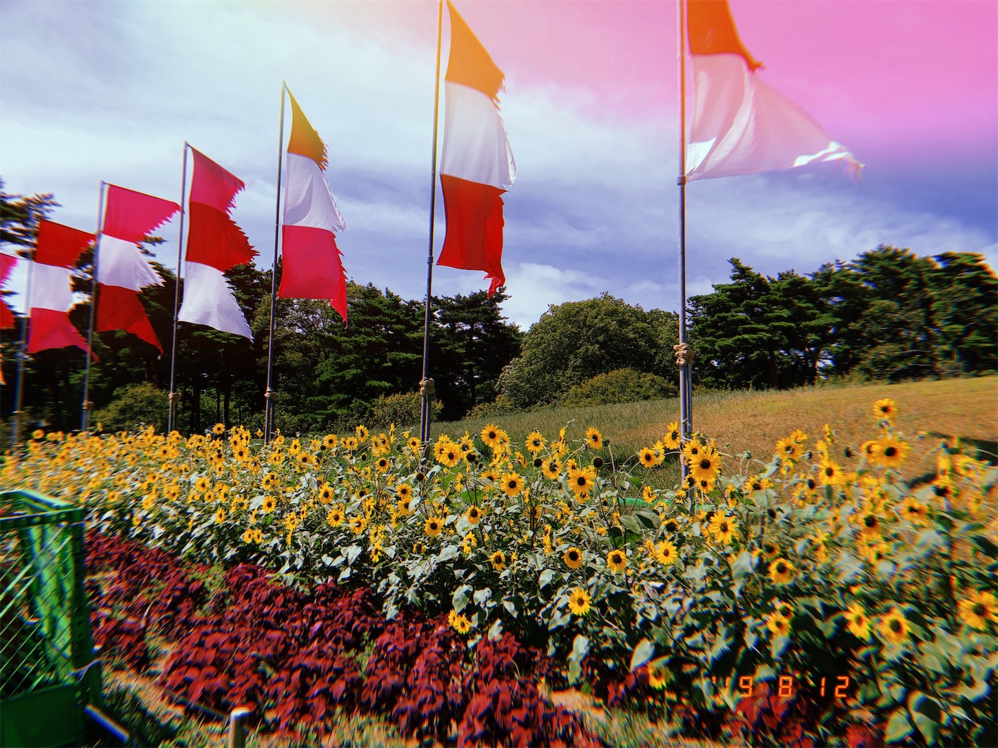 f:id:fujimon_sas:20190904234036j:image