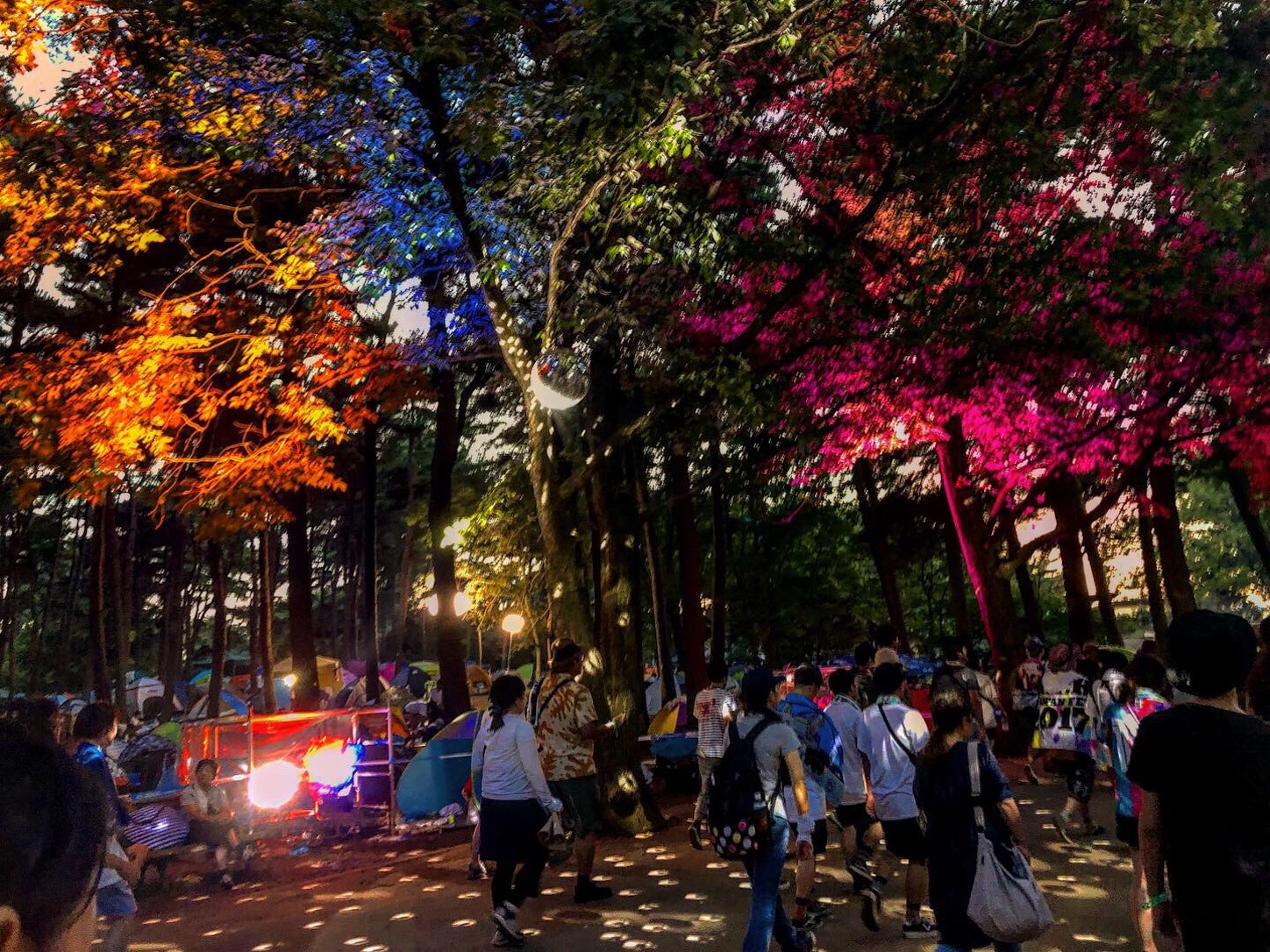 f:id:fujimon_sas:20190904234056j:image