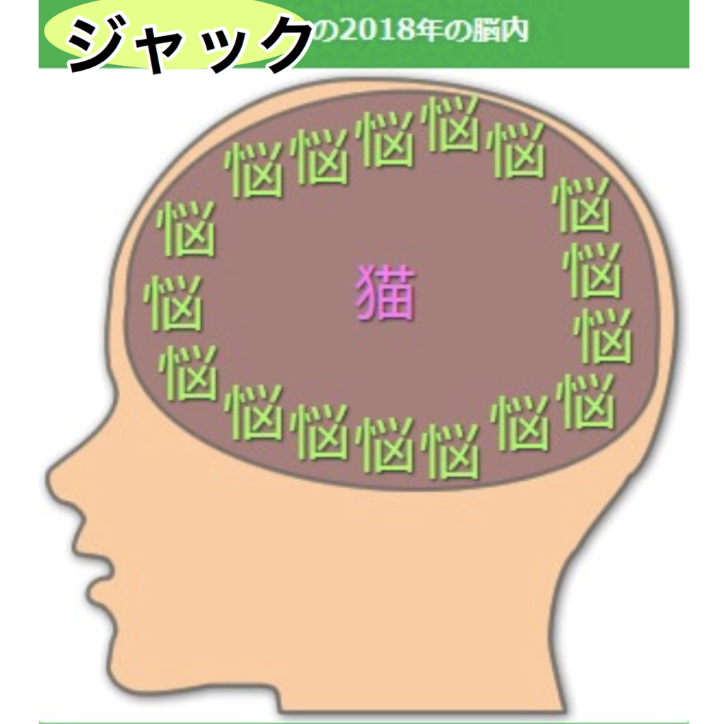 f:id:fujimoto505:20181027131558j:plain f:id:fujimoto505:20181027131558j:plain