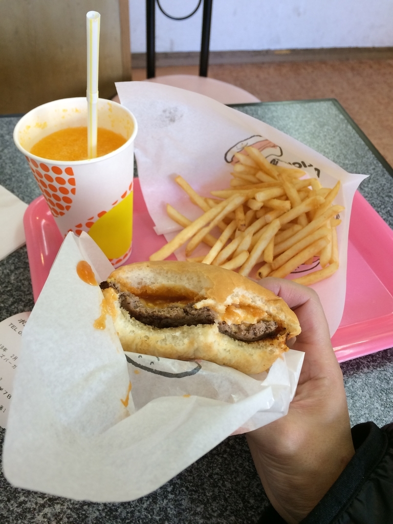 f:id:fujimotogj:20190202154849j:plain