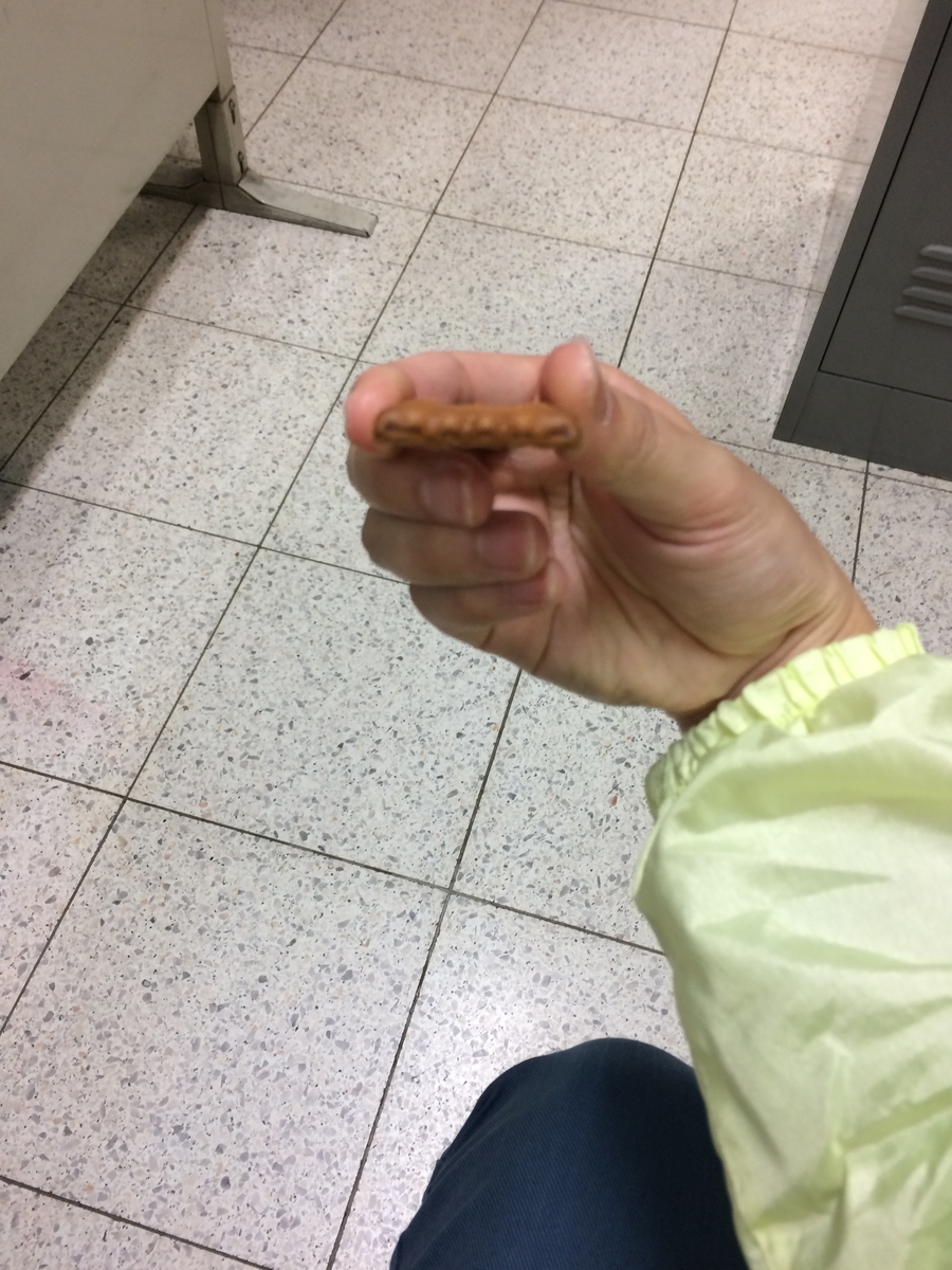 f:id:fujimotogj:20190415160404j:plain