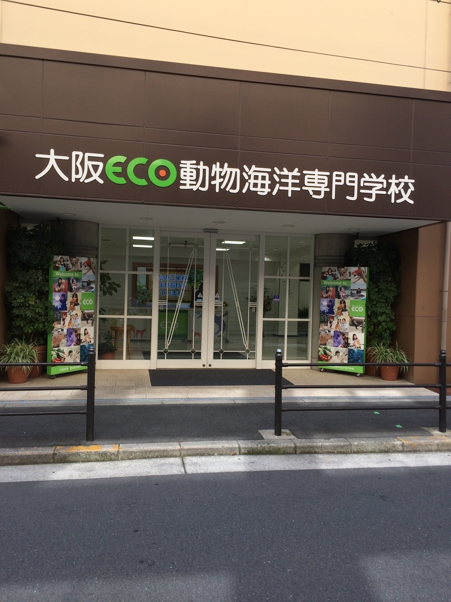 f:id:fujimotogj:20190511151948j:plain