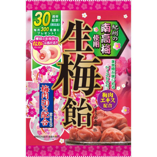 生梅飴 - 藤本GJのグルメブログ