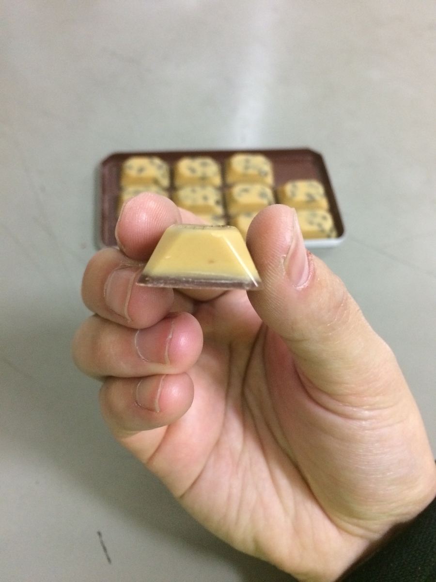 f:id:fujimotogj:20200217151730j:plain f:id:fujimotogj:20200217151730j:plain