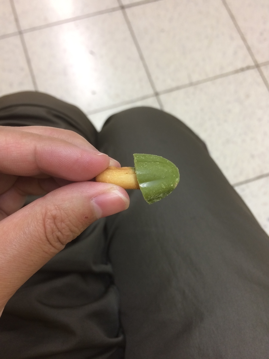 f:id:fujimotogj:20200623100749j:plain