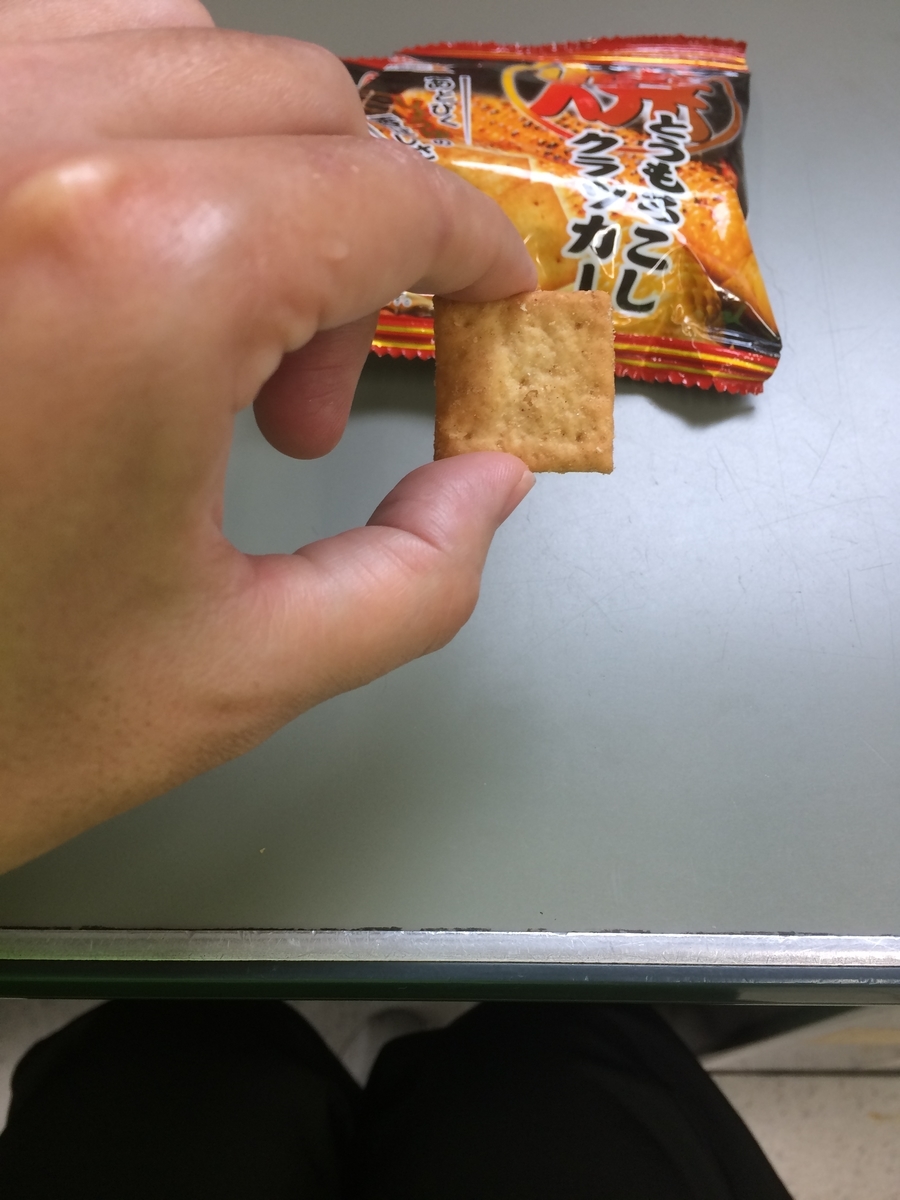 f:id:fujimotogj:20201116100745j:plain