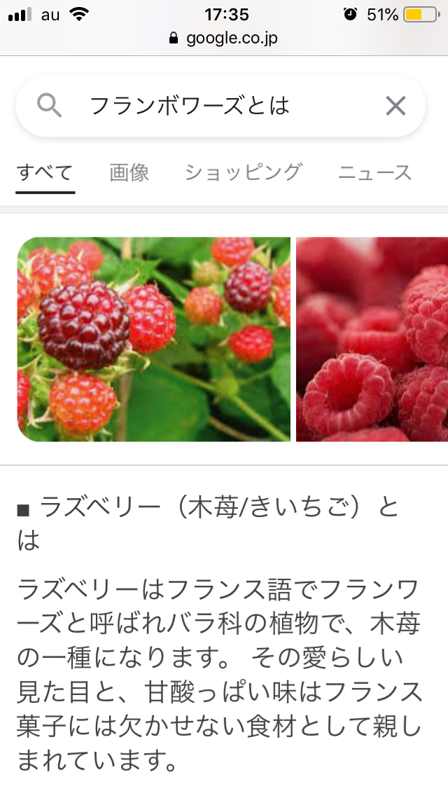 f:id:fujimotogj:20210208175602p:plain