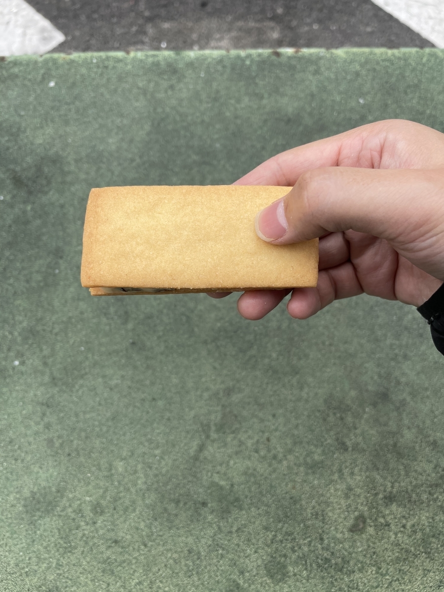 f:id:fujimotogj:20210406134153j:plain