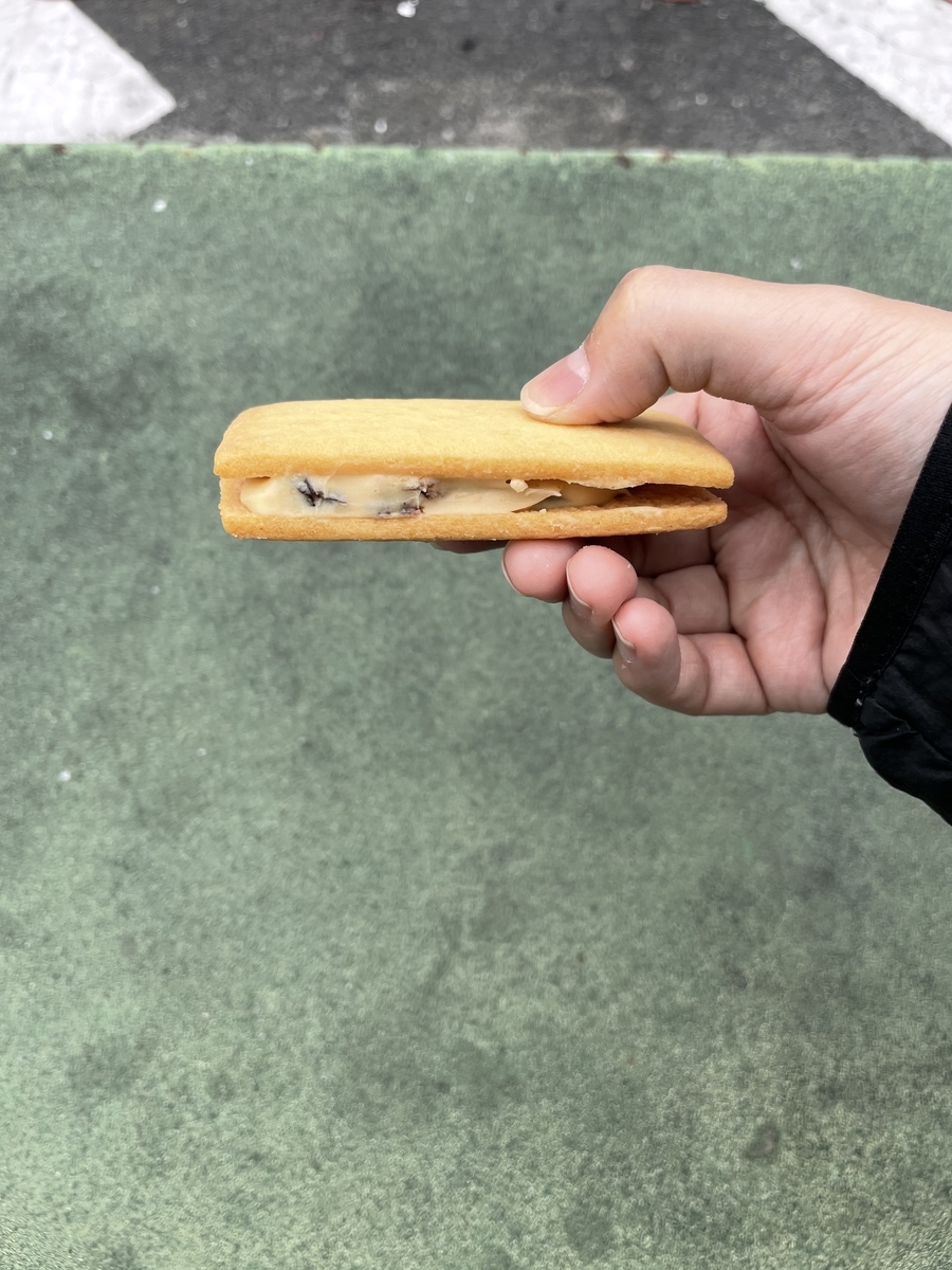 f:id:fujimotogj:20210406134513j:plain