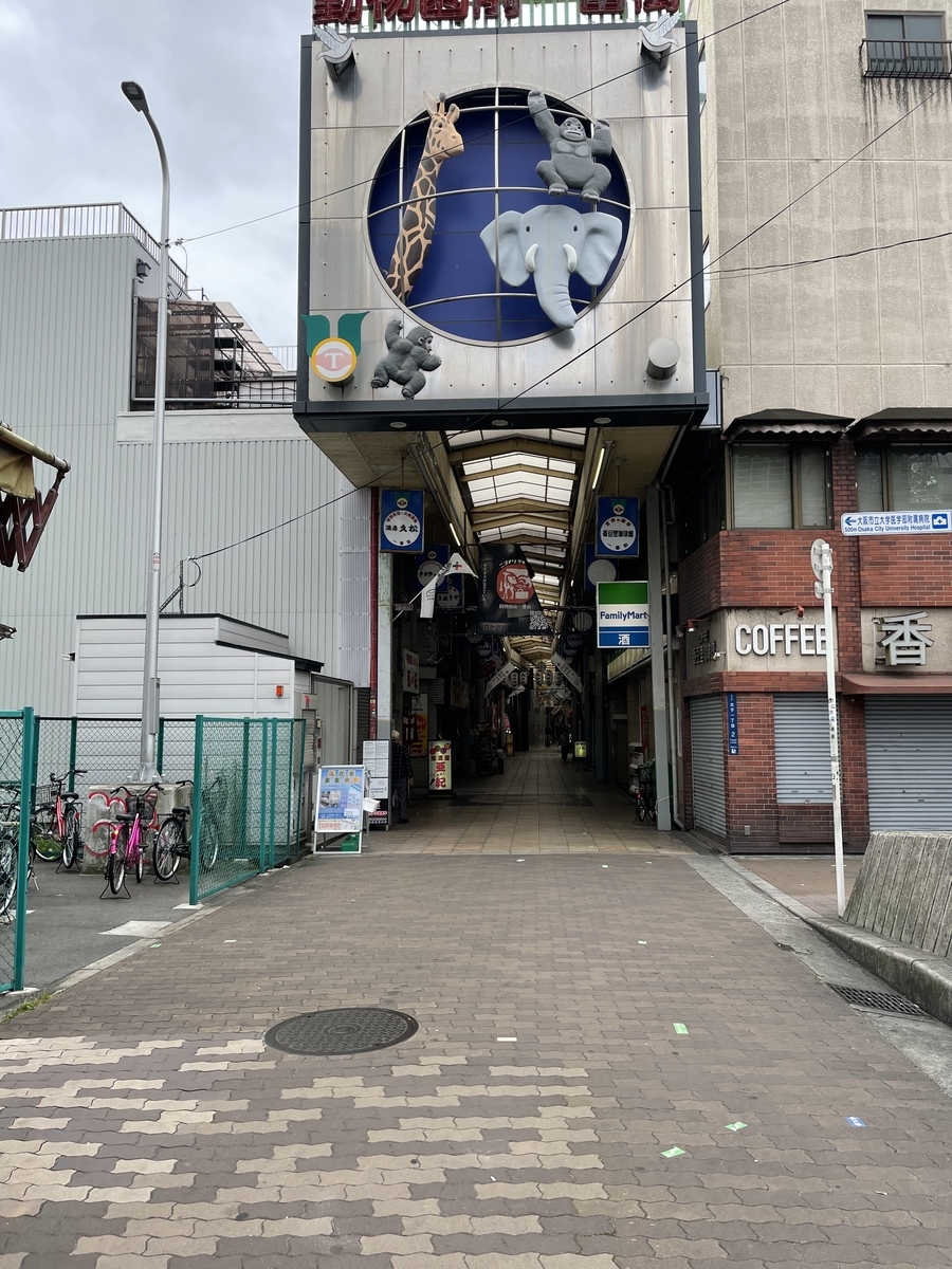 f:id:fujimotogj:20210413150623j:plain