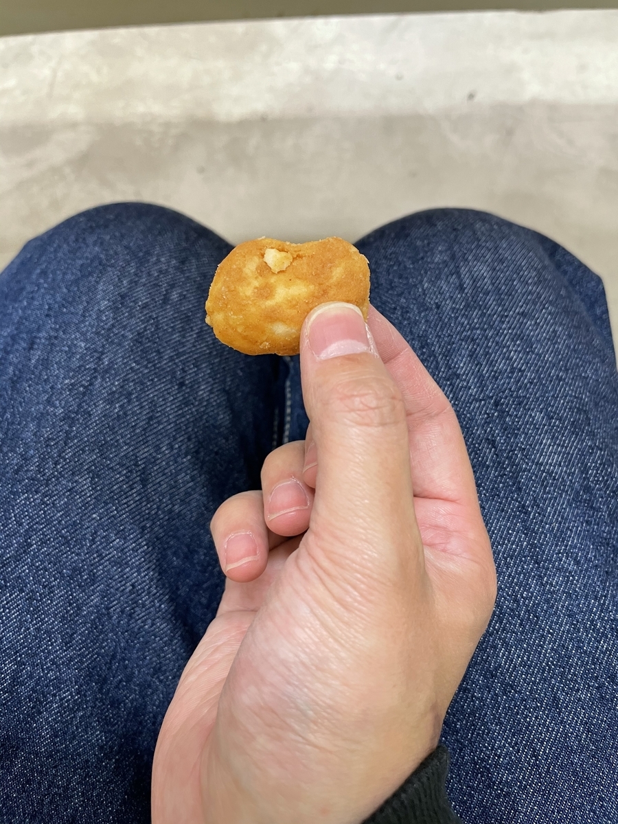 f:id:fujimotogj:20210413162205j:plain