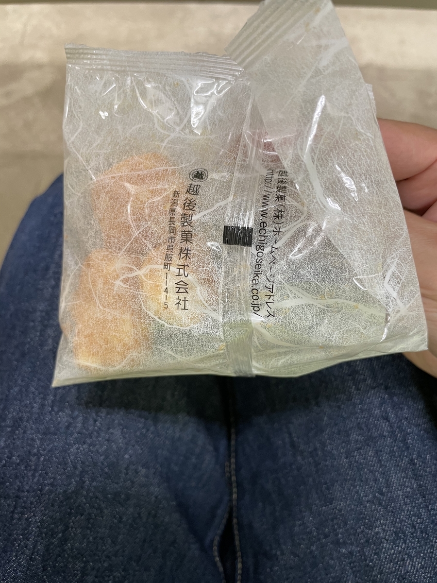 f:id:fujimotogj:20210413162640j:plain