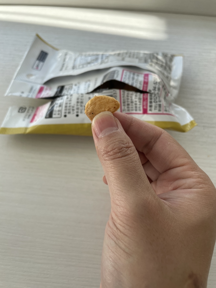 f:id:fujimotogj:20210421155738j:plain