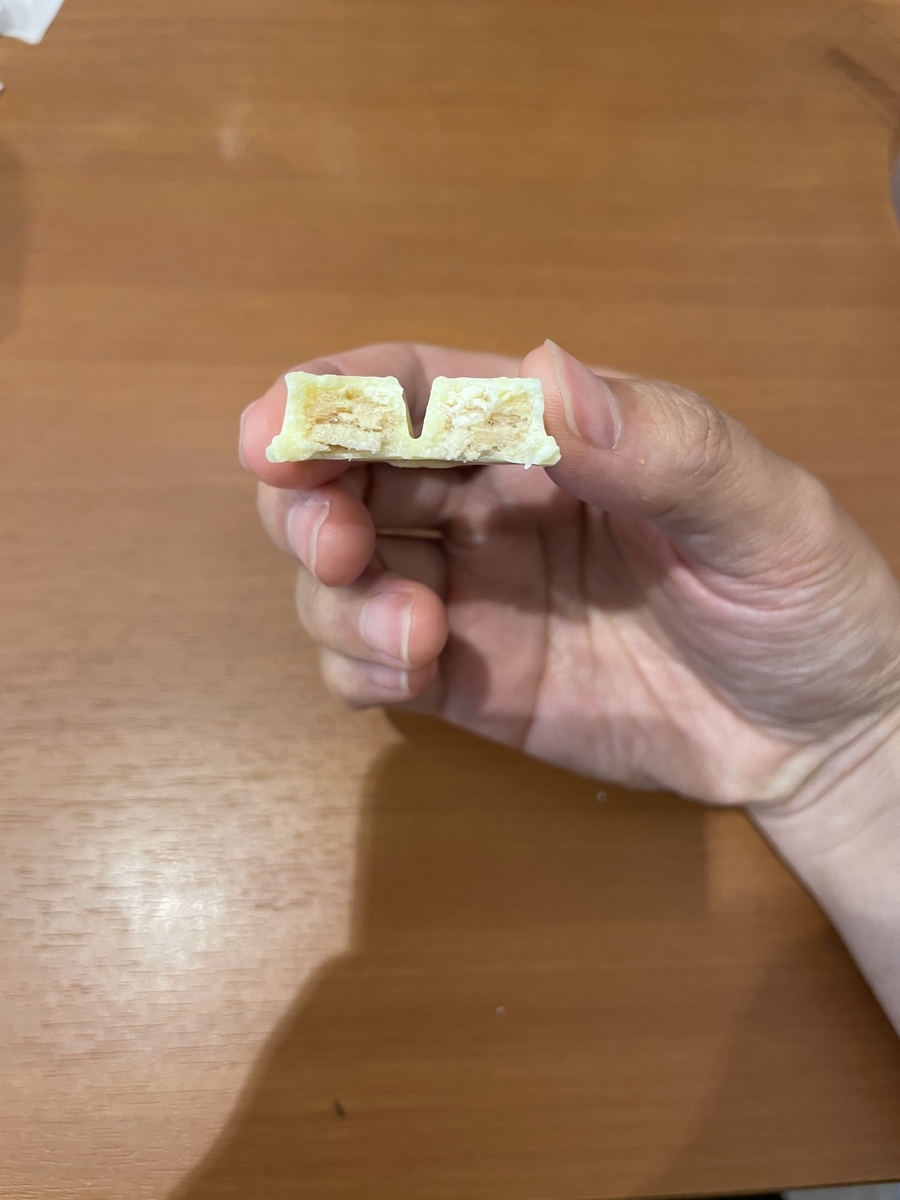 f:id:fujimotogj:20210524140247j:plain
