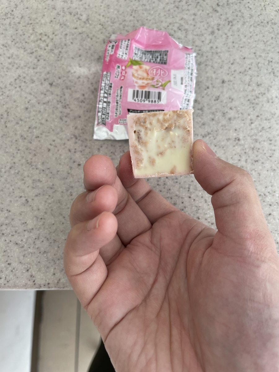 f:id:fujimotogj:20210601165403j:plain