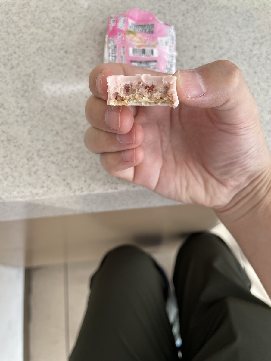 f:id:fujimotogj:20210601165444j:plain