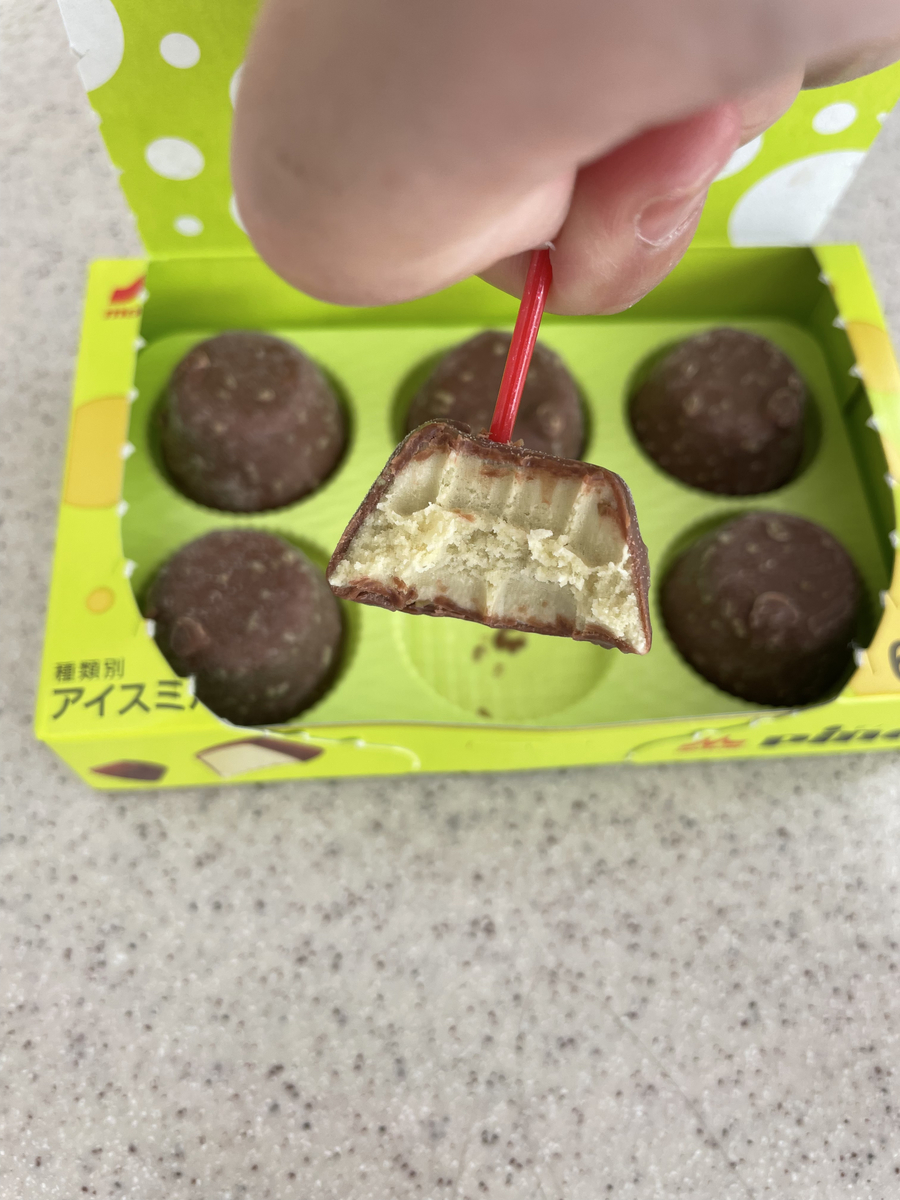 f:id:fujimotogj:20210601171419j:plain