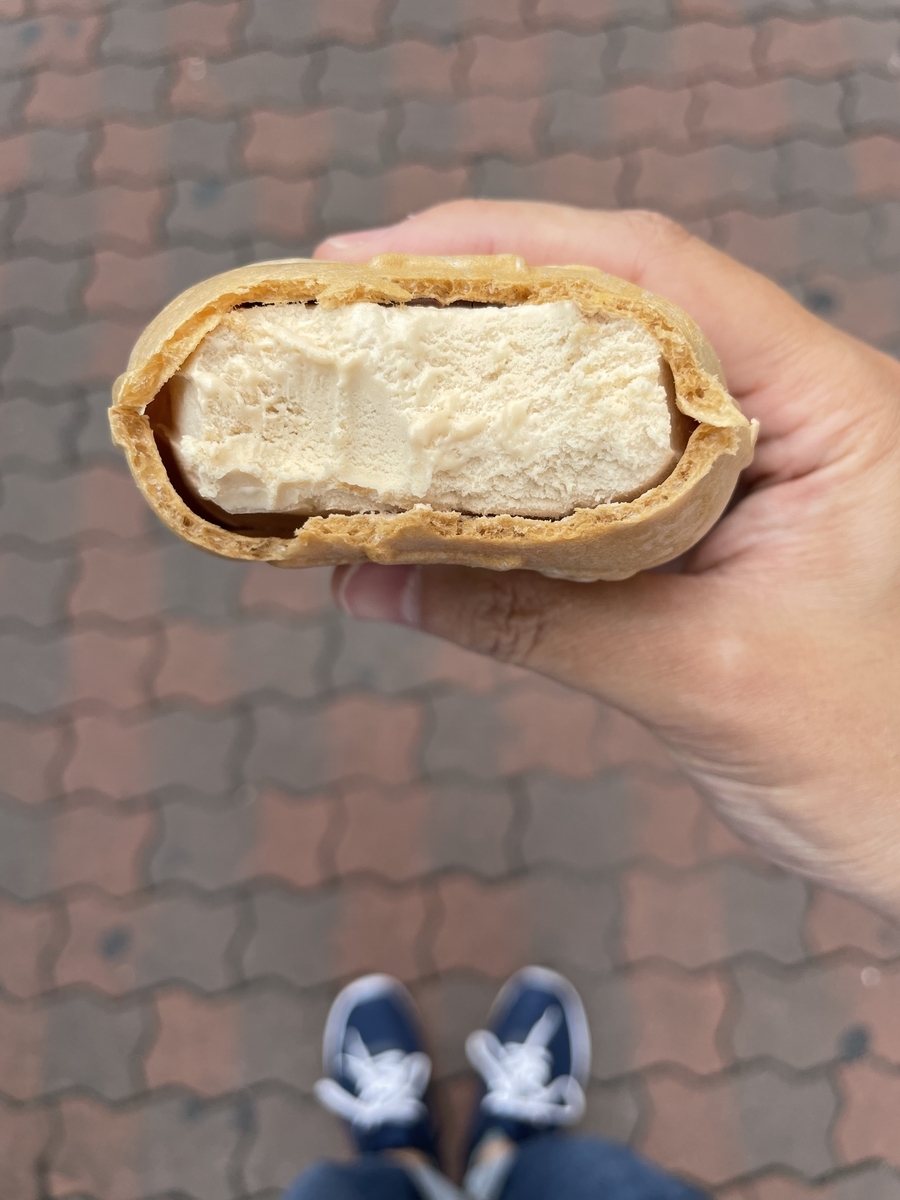 f:id:fujimotogj:20210605135251j:plain