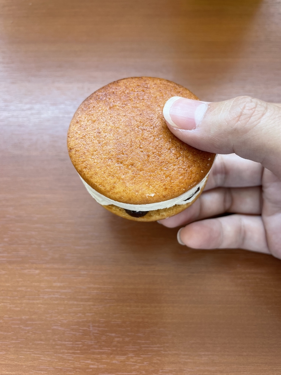 f:id:fujimotogj:20210711135059j:plain