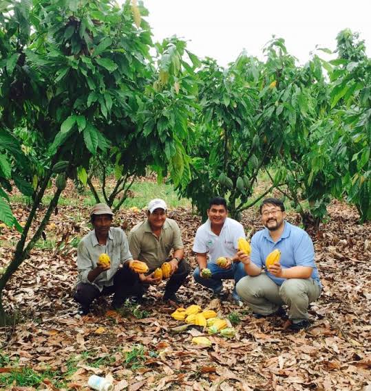 f:id:fujimotogj:20210827133101j:plain