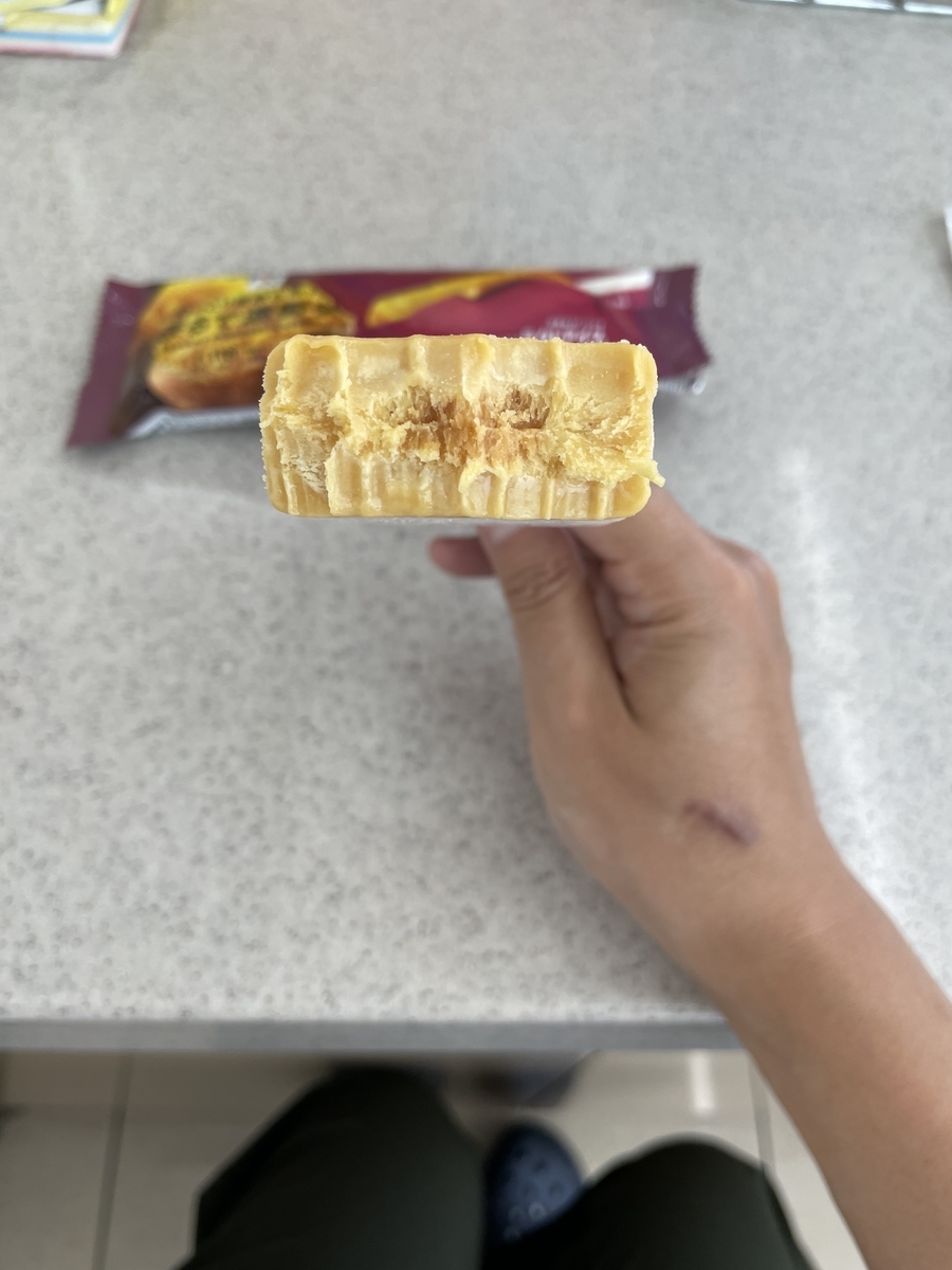 f:id:fujimotogj:20210911141021j:plain