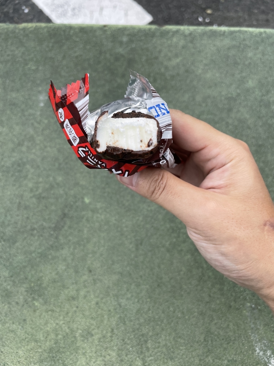 f:id:fujimotogj:20211001153823j:plain