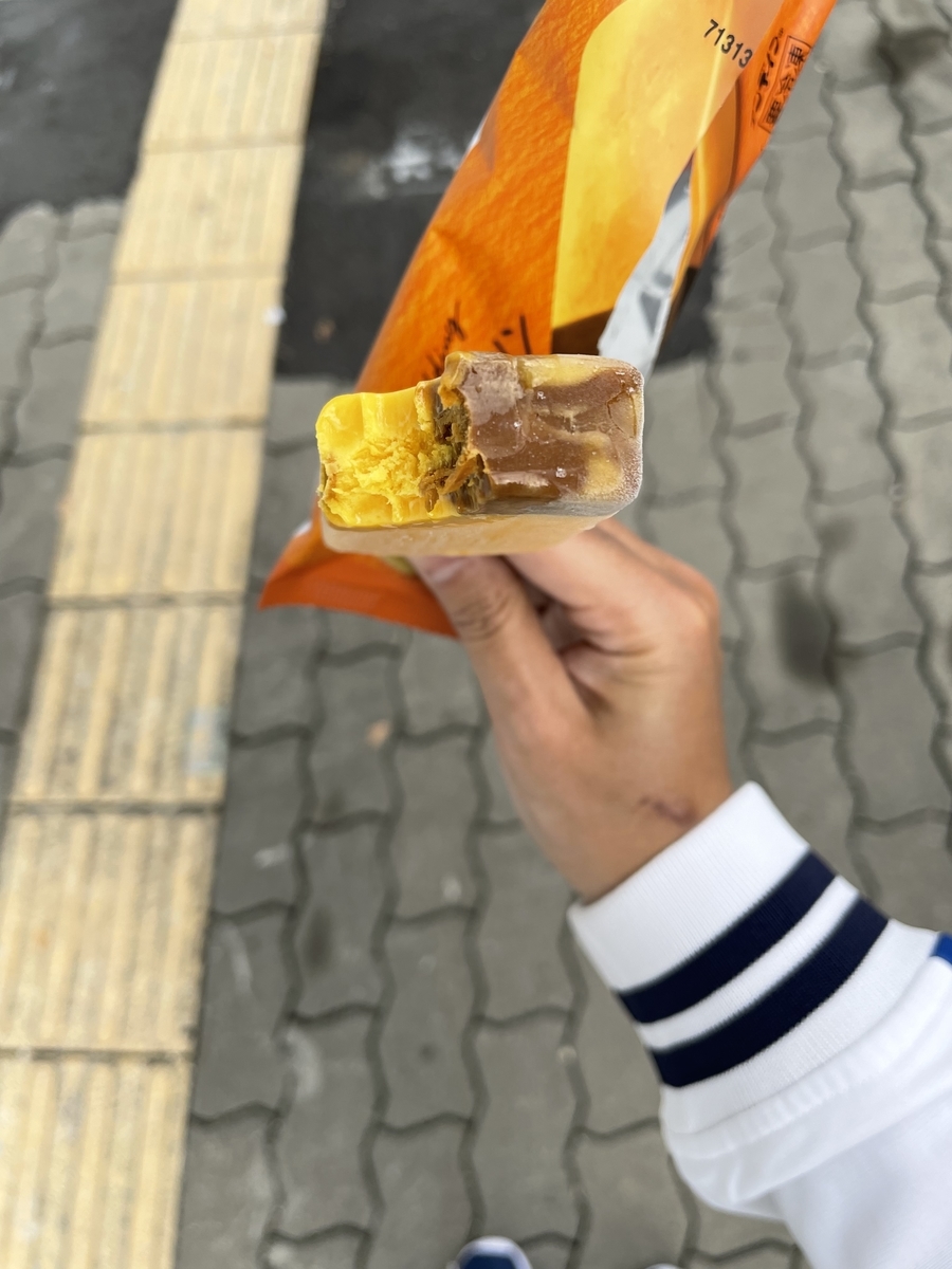 f:id:fujimotogj:20211026153526j:plain