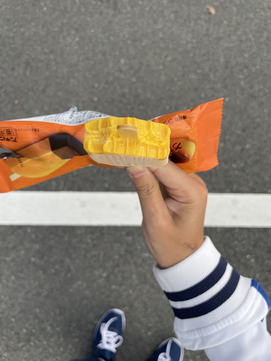 f:id:fujimotogj:20211026153544j:plain