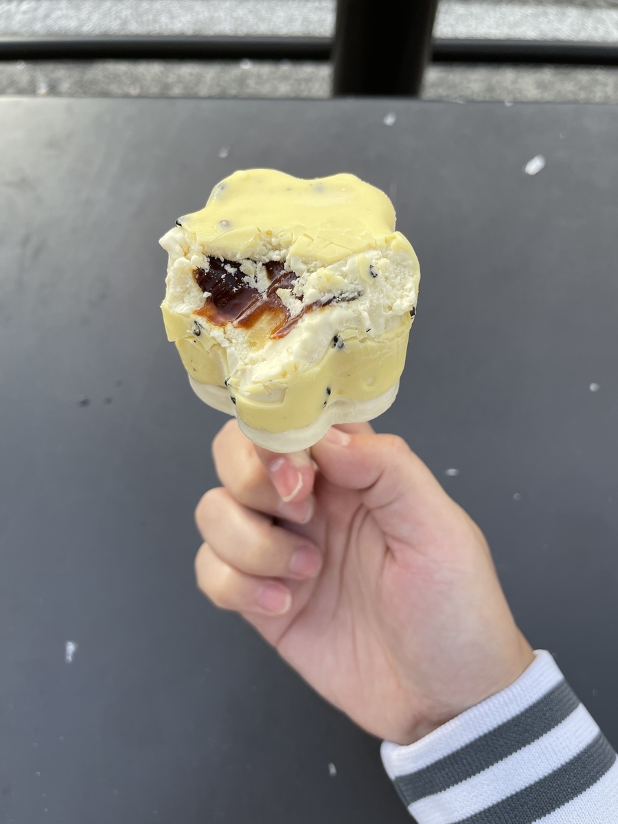 f:id:fujimotogj:20211027164035j:plain