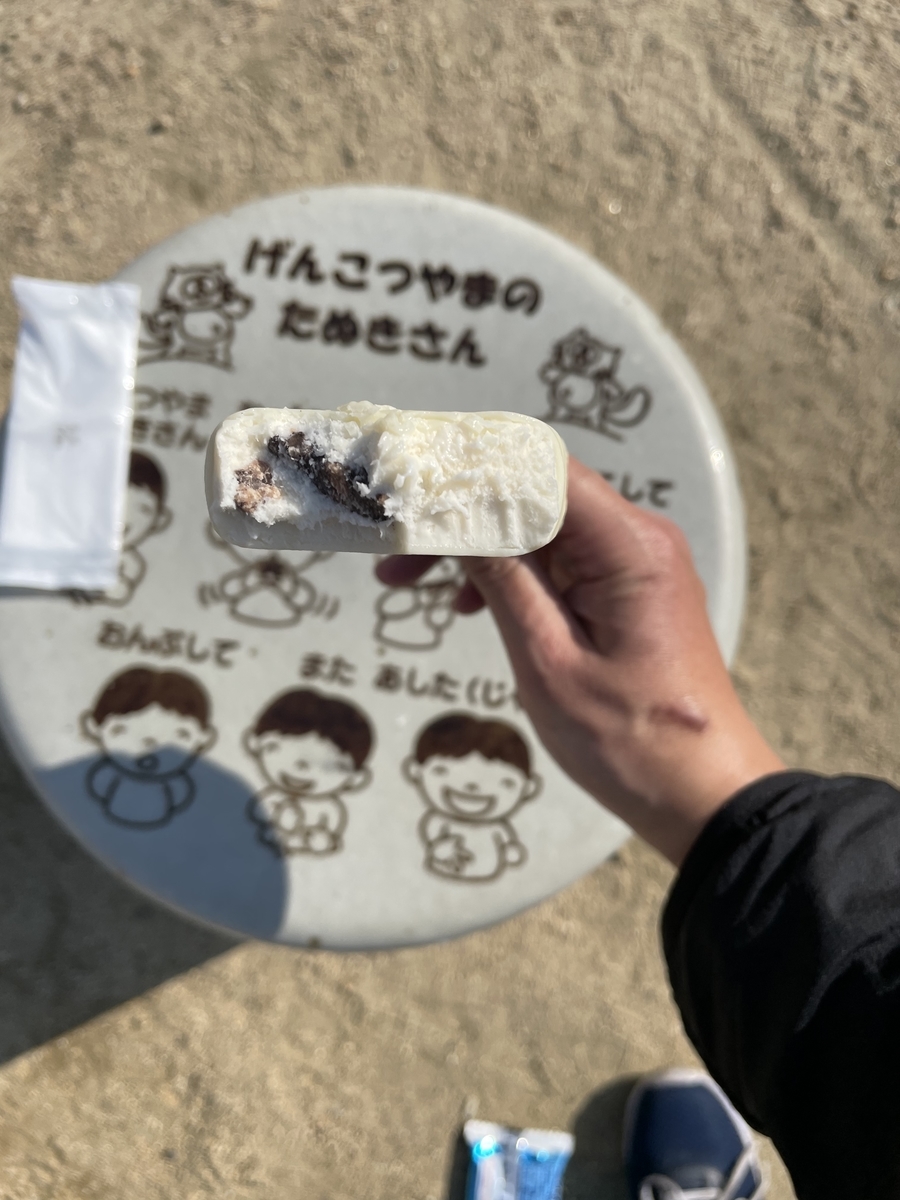 f:id:fujimotogj:20220308154119j:plain