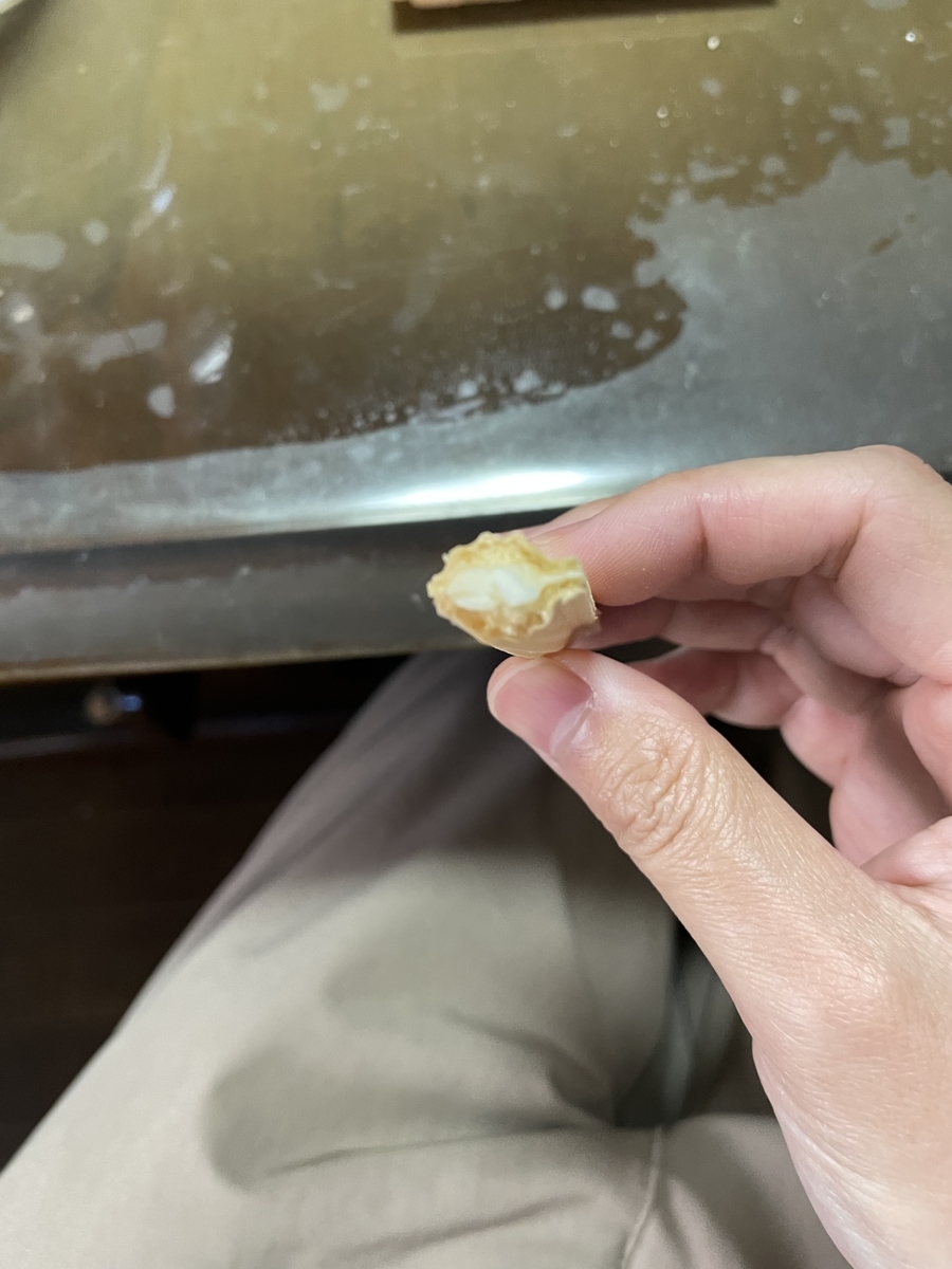 f:id:fujimotogj:20220409143009j:plain