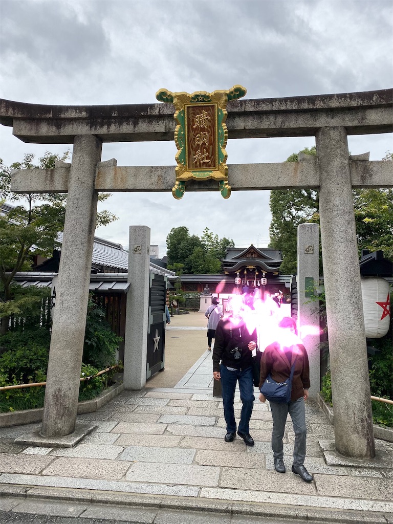 f:id:fujinohitomi:20191114235627j:image f:id:fujinohitomi:20191114235627j:image