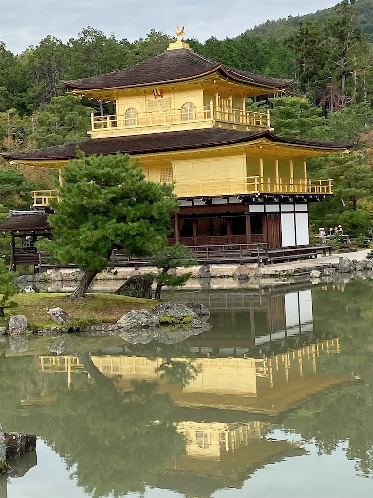 f:id:fujinohitomi:20191118232713j:image f:id:fujinohitomi:20191118232713j:image