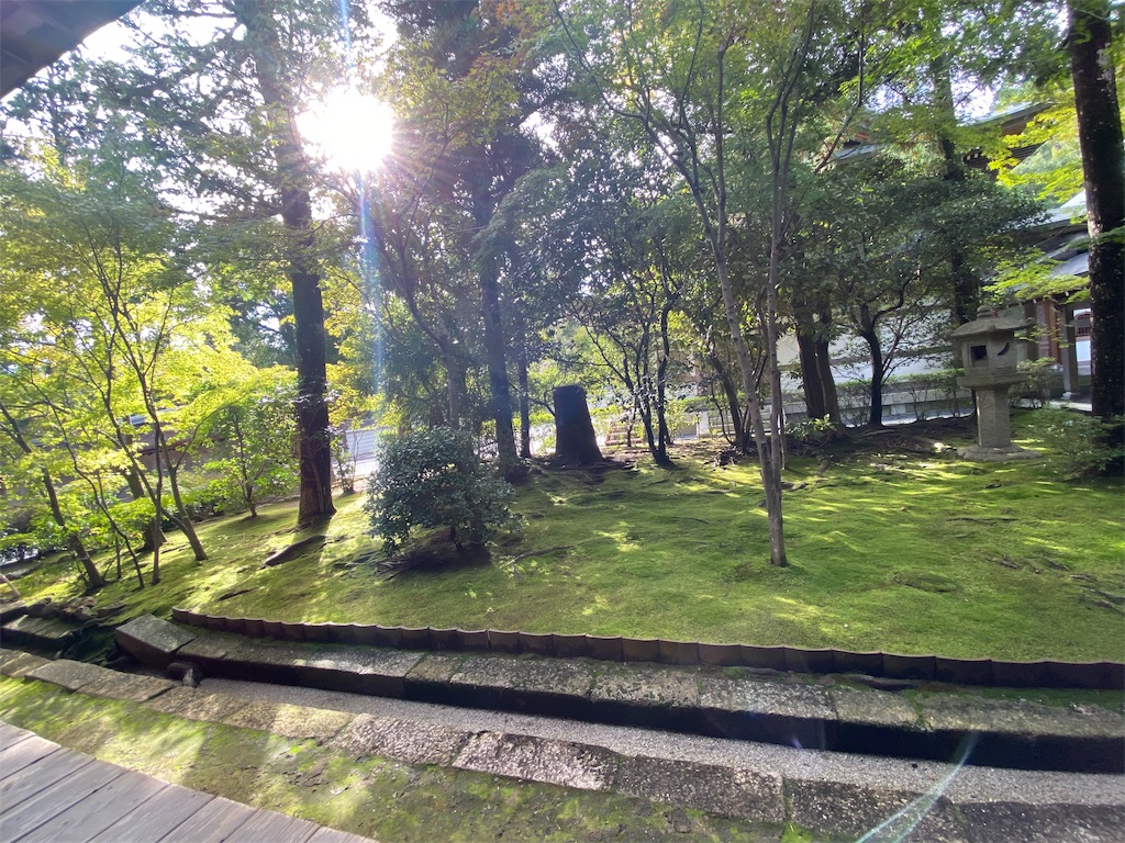 f:id:fujinohitomi:20191118232810j:image f:id:fujinohitomi:20191118232810j:image