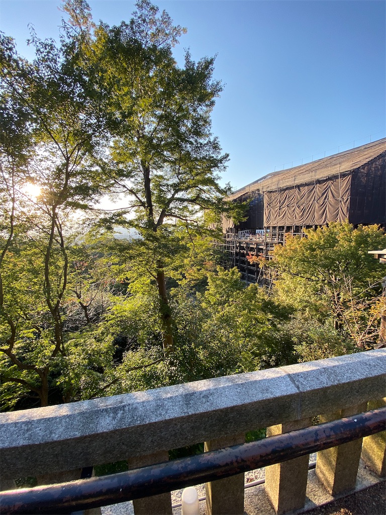 f:id:fujinohitomi:20191118233015j:image f:id:fujinohitomi:20191118233015j:image