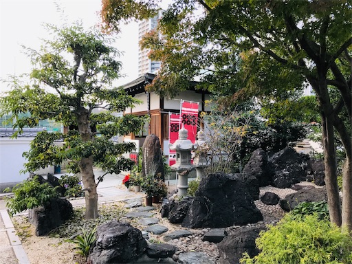 f:id:fujinosakura:20181122011857j:image f:id:fujinosakura:20181122011857j:image