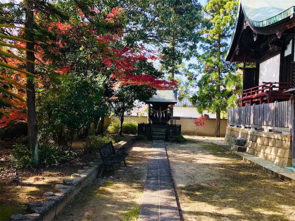 f:id:fujinosakura:20181129214825j:image f:id:fujinosakura:20181129214825j:image