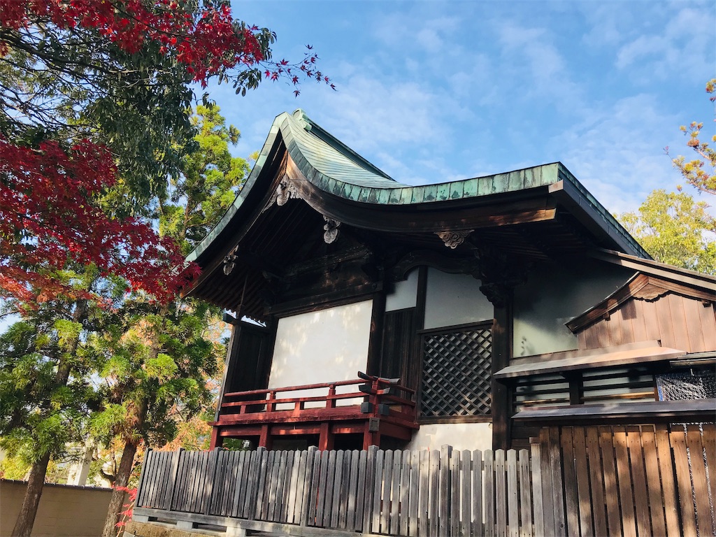 f:id:fujinosakura:20181129214833j:image f:id:fujinosakura:20181129214833j:image
