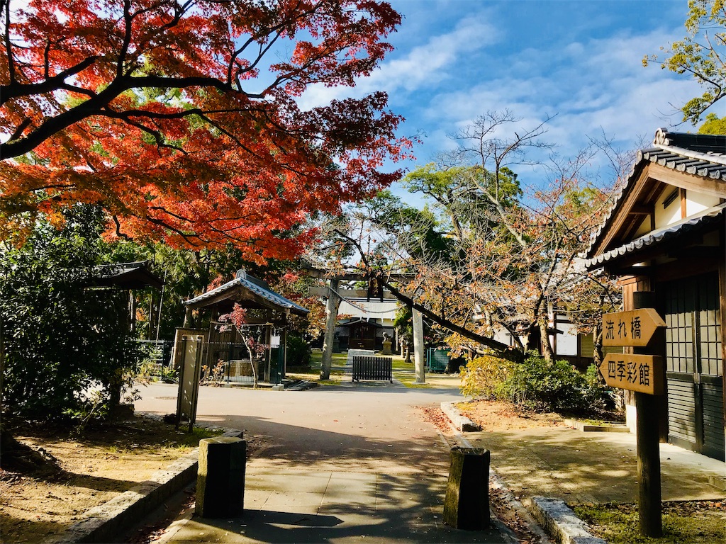 f:id:fujinosakura:20181129214846j:image f:id:fujinosakura:20181129214846j:image