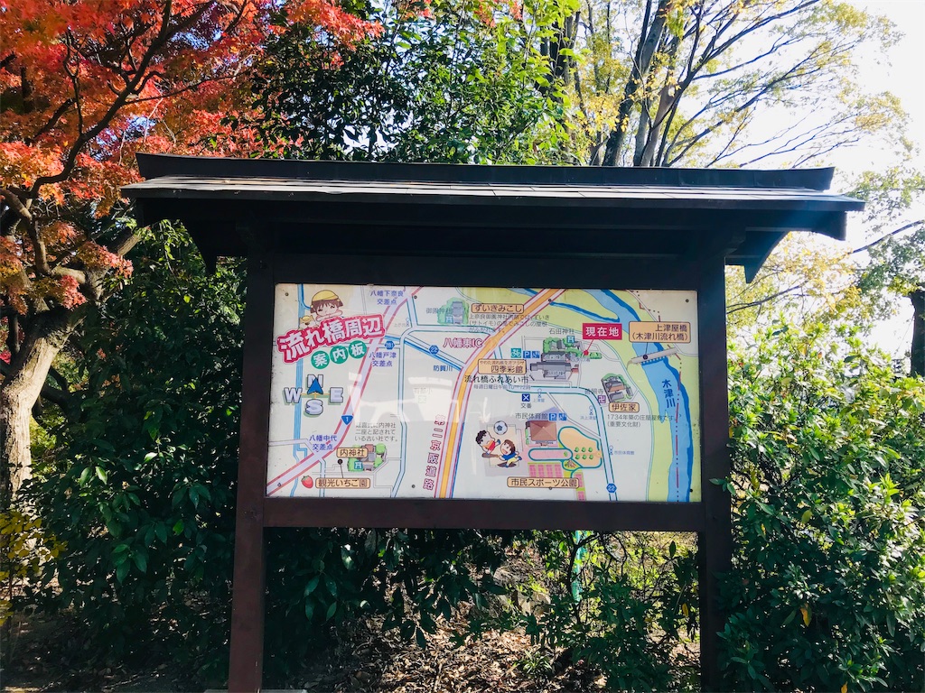 f:id:fujinosakura:20181129214907j:image f:id:fujinosakura:20181129214907j:image