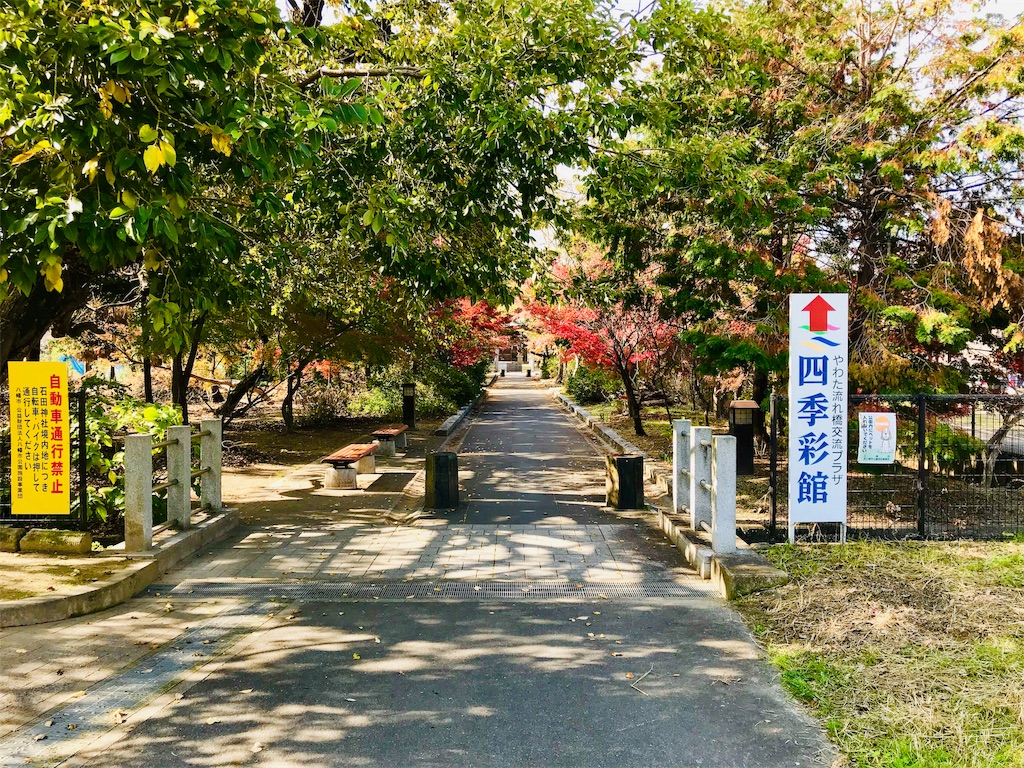f:id:fujinosakura:20181129214917j:image f:id:fujinosakura:20181129214917j:image