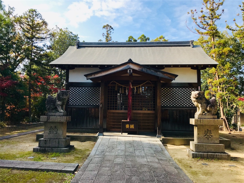 f:id:fujinosakura:20181129214933j:image f:id:fujinosakura:20181129214933j:image