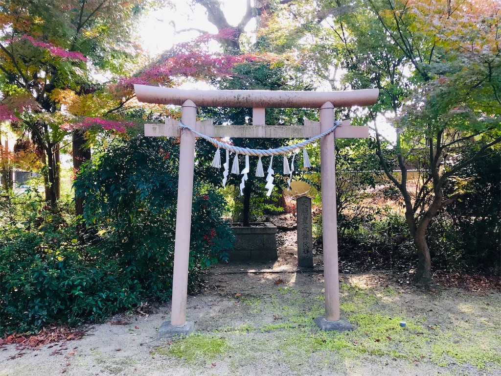 f:id:fujinosakura:20181129220540j:image