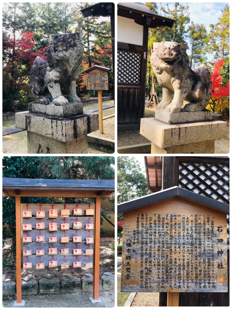 f:id:fujinosakura:20181129220547j:image f:id:fujinosakura:20181129220547j:image
