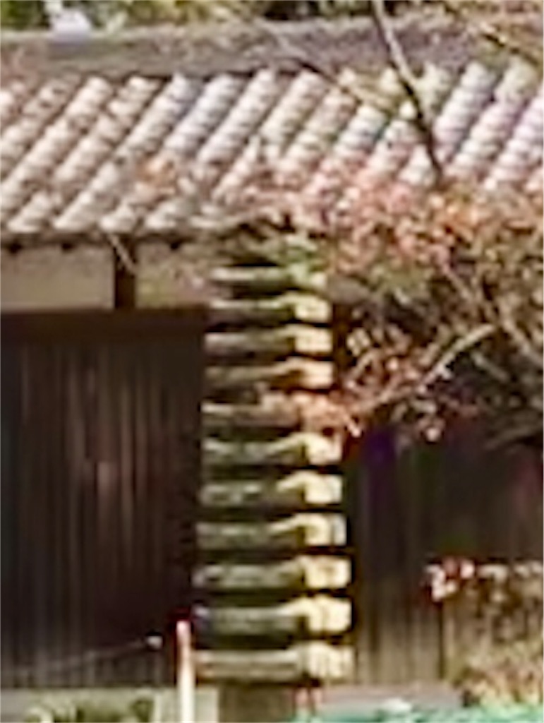 f:id:fujinosakura:20181130003216j:image f:id:fujinosakura:20181130003216j:image